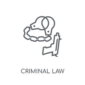 Corporations LLC,Criminal Law,Identity Theft,Immigration,Medical Malpractice,National State Local,Real Estate Law